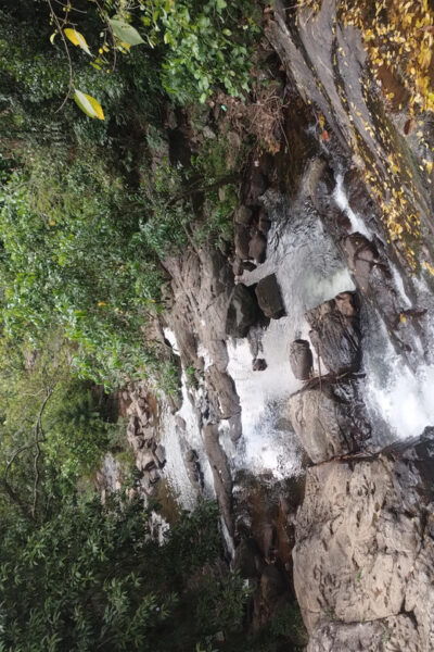 Colombo: Day Trip; Seethawaka Wet Zone Botanical Gardens - Nearby Attractions