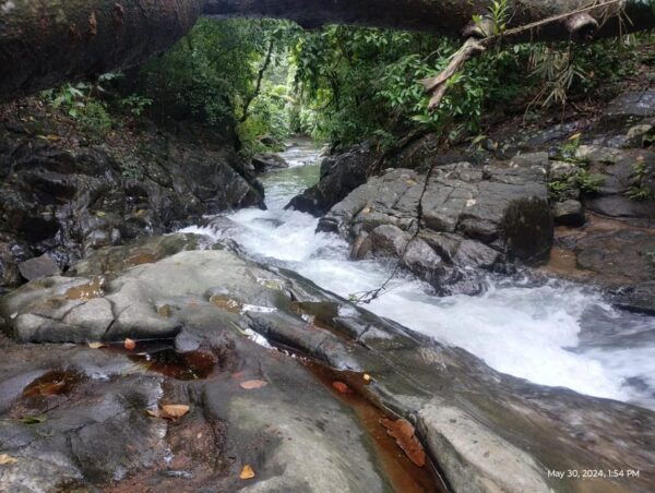 Colombo: Day Trip; Seethawaka Wet Zone Botanical Gardens - Frequently Asked Questions