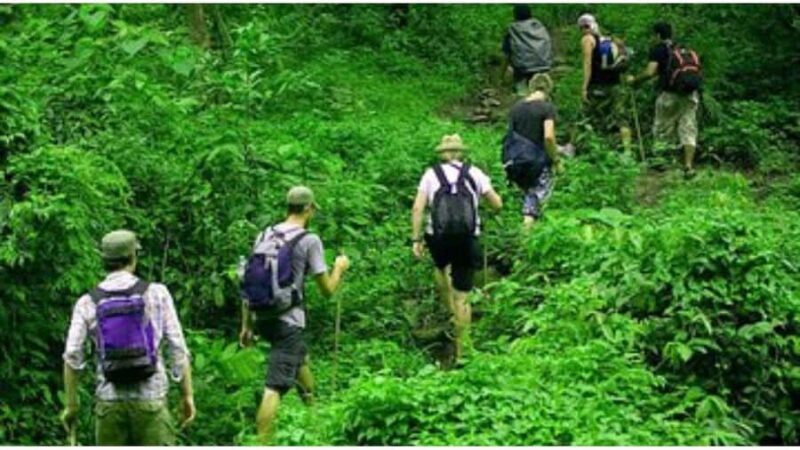 Colombo: Digana Waterfall Swim & Village Walk & Tea Factory - Final Thoughts