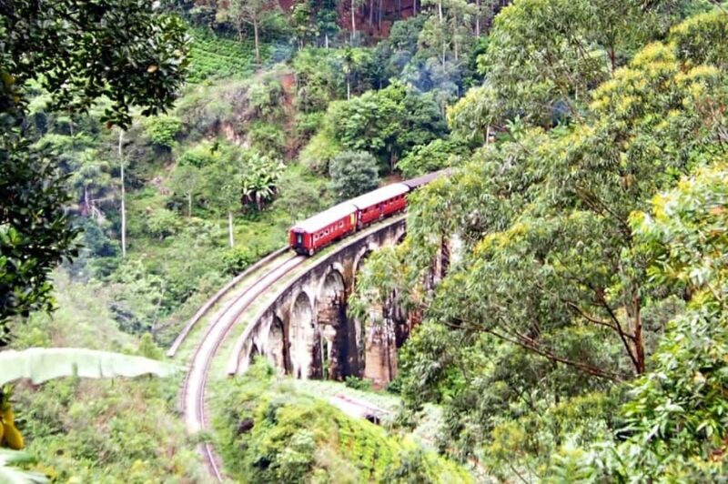 Colombo: Ella Scenic Train Tour with Hotel Transfers - An In-Depth Look at the Journey