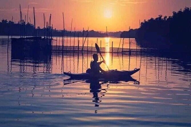 Colombo Galle, Madu River Safari, and Turtle Hatchery - Authentic Insights from Travelers