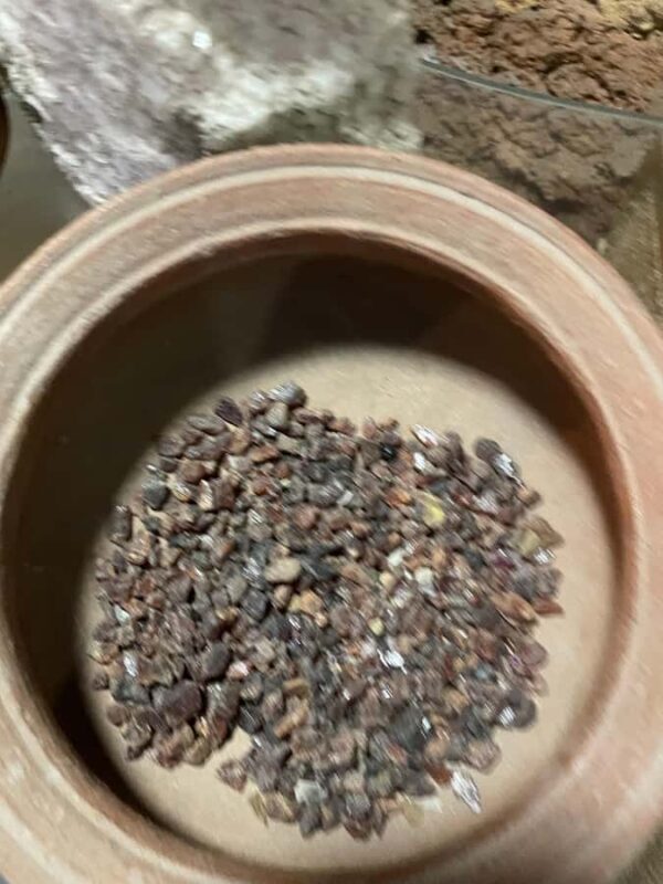 Colombo: Gem Museum and Factory Tour with Port Pickup - Who Should Book This Experience?