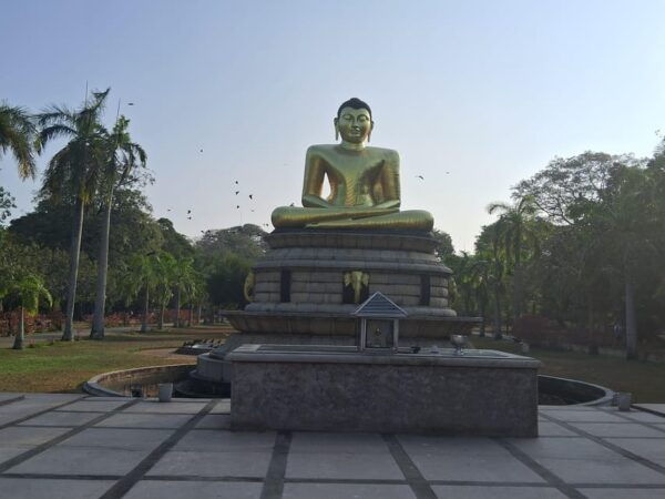Colombo: Guided City Tour by Tuk Tuk With All Entry Fees - Tips for Your Tuk Tuk Tour
