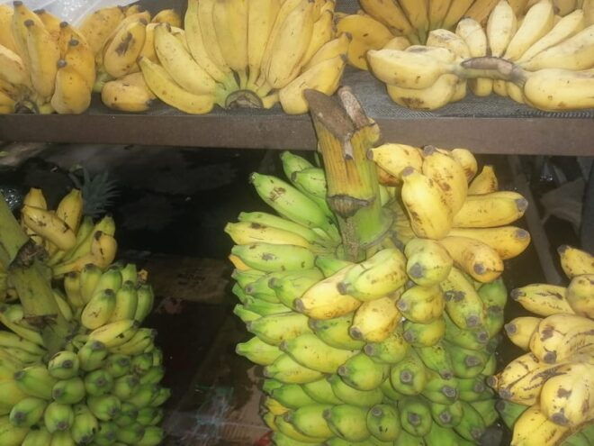 Colombo: Guided Tuk Tuk Tour With Tropical Fruit Tasting - Important Tour Information