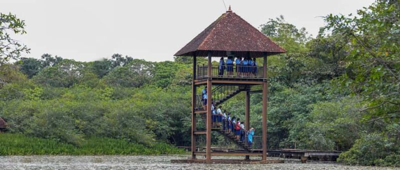 Colombo: Half-Day Cultural Tour to Sri Jayawardenapura Kotte - An In-Depth Look at the Tour Experience