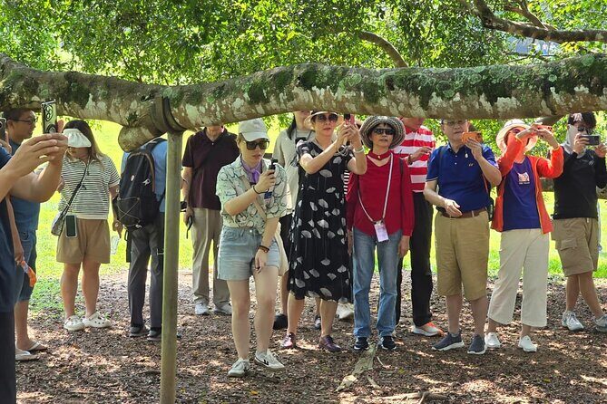 Colombo Heritage and Culture City Tour By TUK TUK ( Guided Tour) - FAQ