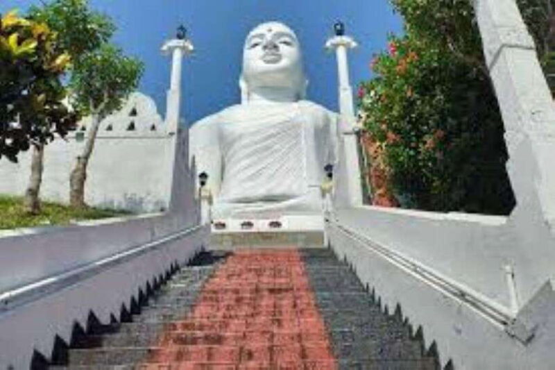 Colombo: Kandy and Pinnawala full day trip - The Sum Up