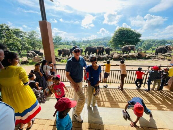 Colombo: Kandy Full Day Tour With Tea Factory Cultural Show - Tips for a Great Experience