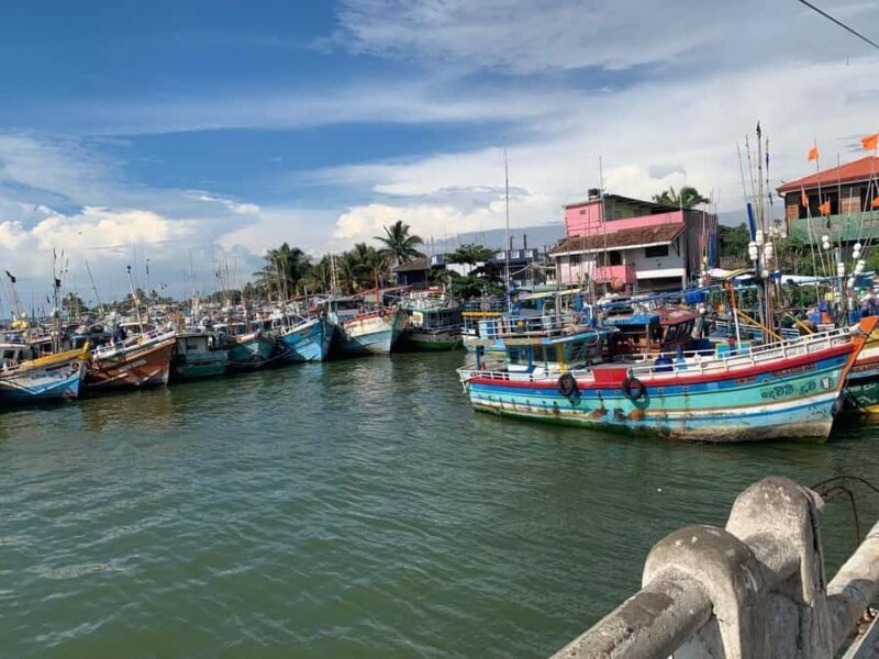 Colombo: Negombo Cultural Photo Tour with Local Lunch - Journey to Negombo: Scenes and Sights