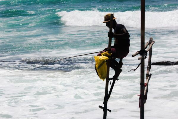 Colombo/Negombo: Galle, Bentota, and Hikkaduwa Day Trip - Directions for the Day Trip