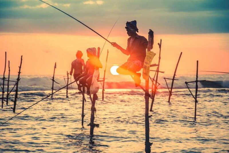 Colombo/Negombo - Galle Fort & Bentota Beach Day Tour - Who Is This Tour Best Suited For?