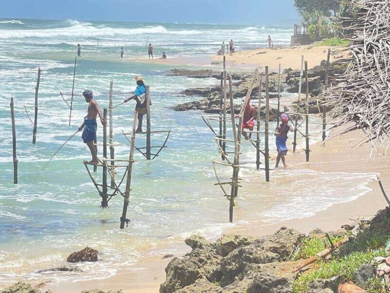 Colombo/Negombo - Galle Fort & Bentota Beach Day Tour - Who Is This Tour Best For?