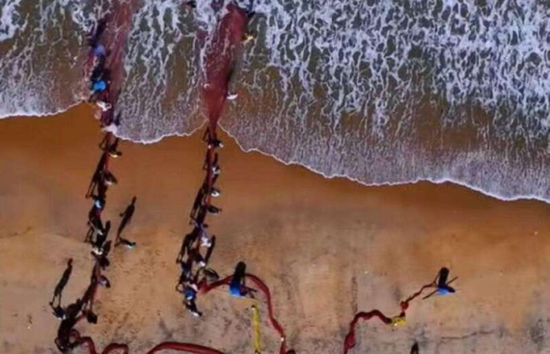 Colombo/ Negombo : Galle Fort & Bentota Beach Day Tour - Who Will Love This Tour?