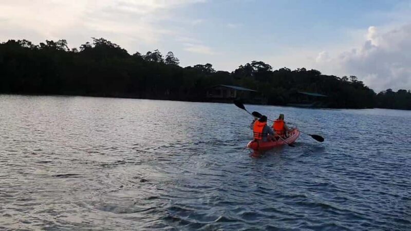 Colombo/Negombo: Galle Fort, Koggala Lake Safari & Kayaking - Koggala Lake Boat Safari: Nature and Wildlife Up Close