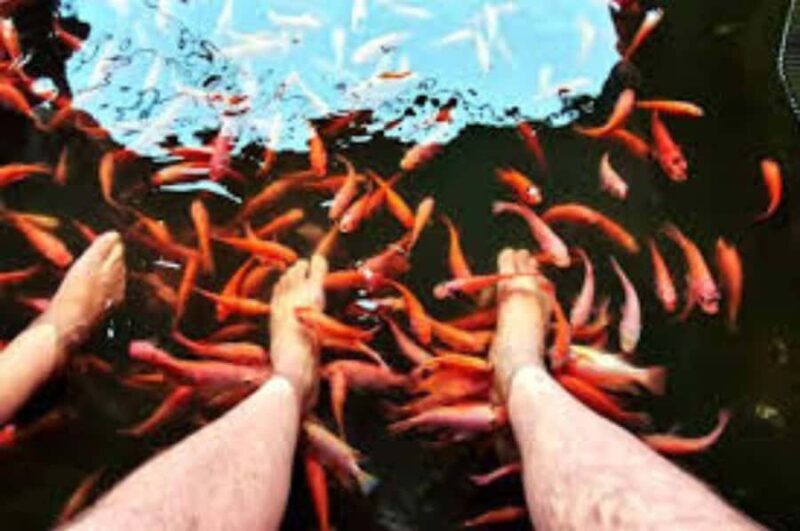 Colombo/Negombo: Koggala Lake Boat Safari and Kayaking Tour - Who Would Enjoy This Tour?