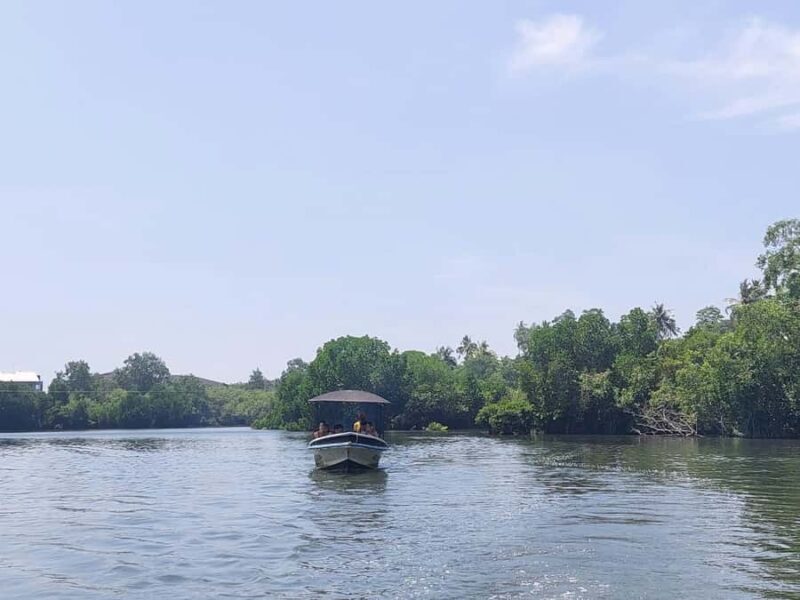 Colombo/Negombo: Koggala Lake Boat Safari and Kayaking Tour - The Sum Up