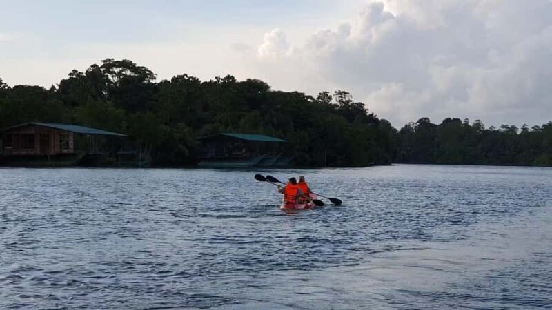 Colombo/Negombo: Koggala Lake Boat Safari and Kayaking Tour - Final Thoughts: Is This Tour Worth It?