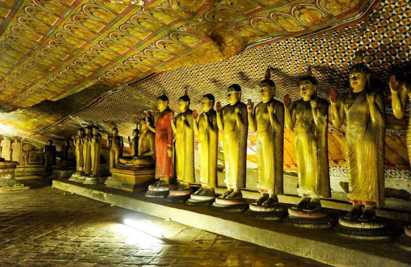 Colombo/Negombo: Sigiriya, Dambulla, and Minneriya Safari - Good To Know