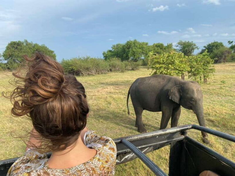 Colombo-Negombo : Sigiriya & Dambulla Cave Full-Day Tour - In-Depth Look at the Tour Experience