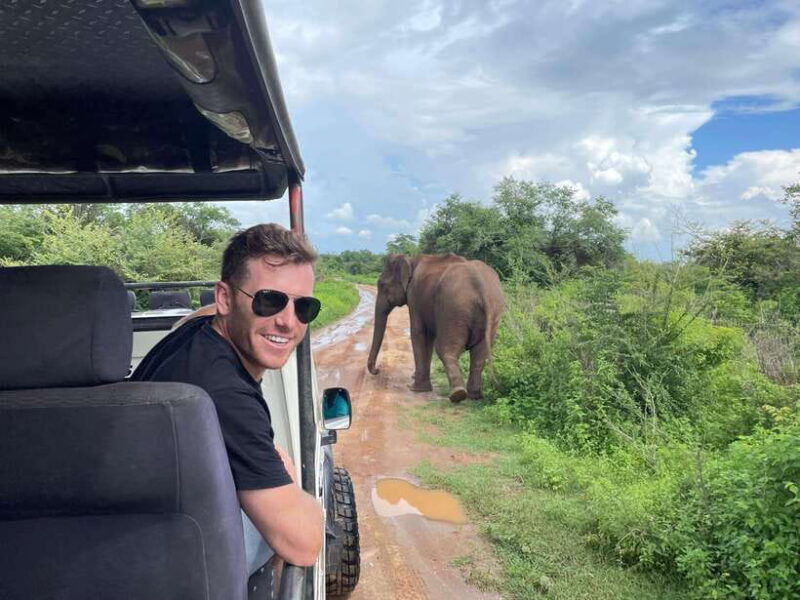 Colombo/Negombo: Sigiriya, Kandy, Ella 3-Day Trip with Train - Final Thoughts: Is This Tour for You?