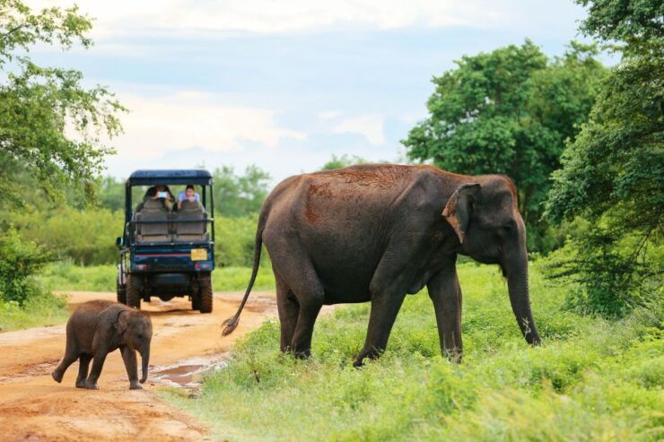 Colombo/Negombo: Sigiriya, Kandy, Ella 3-Day Trip With Train - Ticket Information