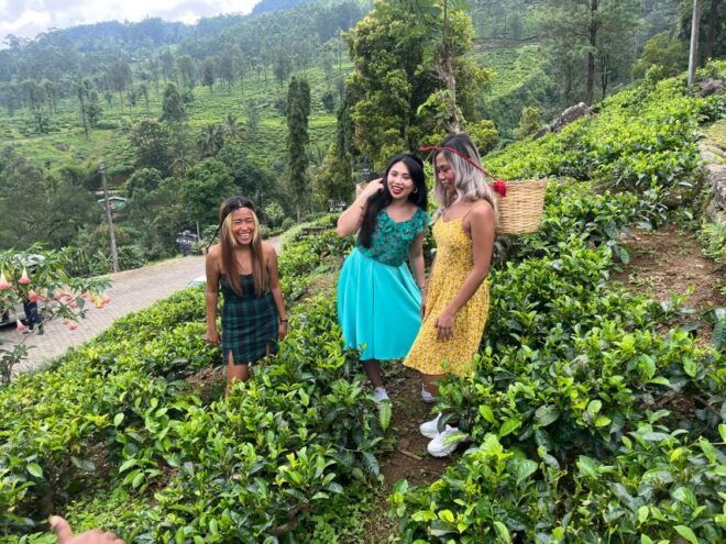 Colombo/Negombo: Sigiriya, Kandy, Ella 3-Day Trip With Train - Day 3: Ella City Tour, Udawalawe National Park, Drop-off Options