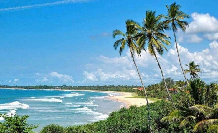 Colombo & Negombo To Galle/Hikkaduwa/Mirissa Day Tour - Kosgoda Turtle Conservation