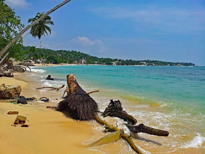 Colombo & Negombo To Galle/Hikkaduwa/Mirissa Day Tour - Customer Experience and Reviews