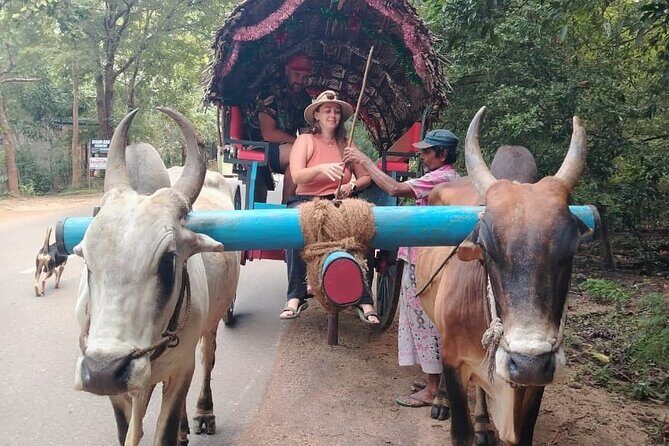 Colombo , Negombo to Trincomalee Transfer and Safari - Frequently Asked Questions  