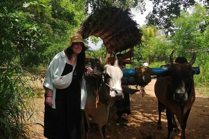 Colombo , Negombo to Trincomalee Transfer and Safari - Starting with Convenience: Transfer from Colombo or Negombo