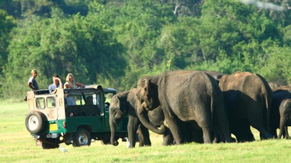 Colombo/Negombo:Sigiriya,Dambulla,Polonnaruwa & Kandy 3 Days - Frequently Asked Questions
