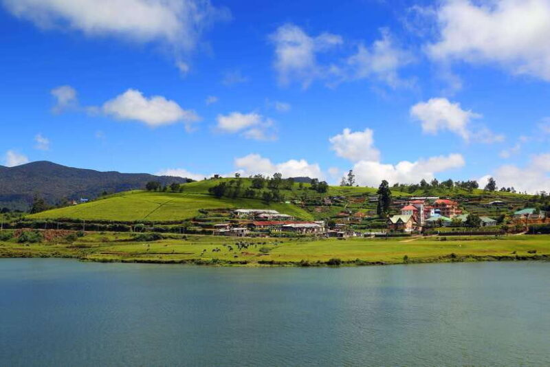 Colombo: Nuwara Eliya: Tea Gardens,Colonial Charm & High Tea - Good To Know  