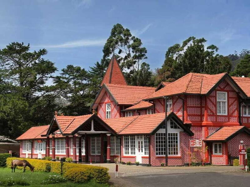 Colombo: Nuwara Eliya: Tea Gardens,Colonial Charm & High Tea - Practical Tips & Considerations  