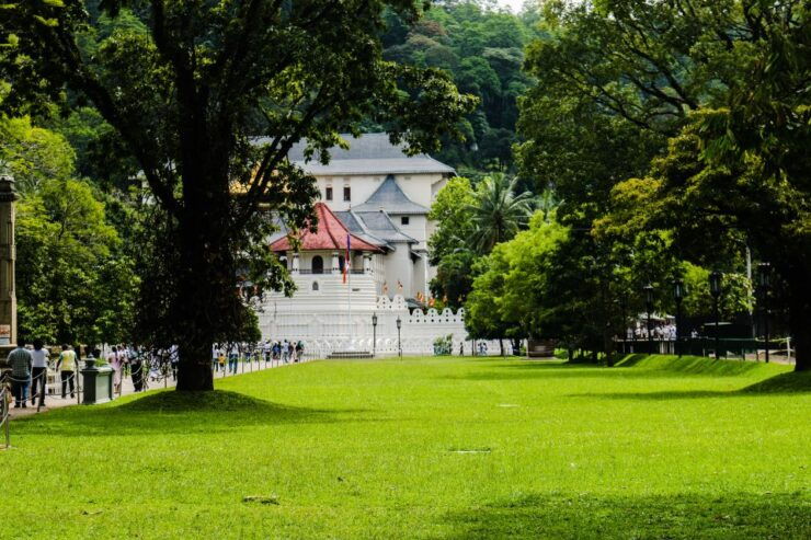 Colombo or Negombo: Temple of the Tooth Kandy Day Trip - Day Trip Experience