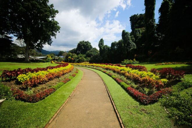Colombo or Negombo: Temple of the Tooth Kandy Day Trip - Customer Reviews