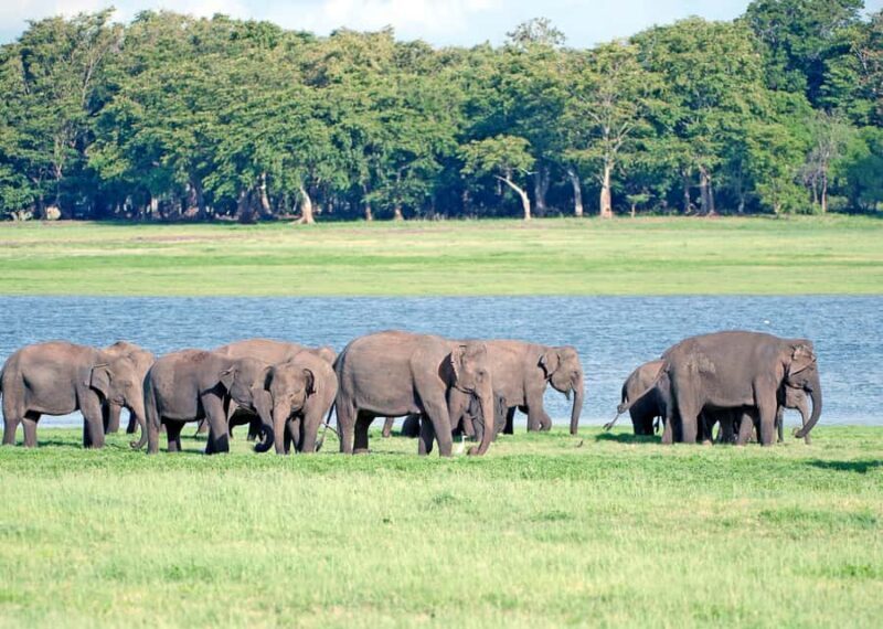 Colombo: Private 2-Day Cultural Triangle Tour with Sigiriya - Good To Know