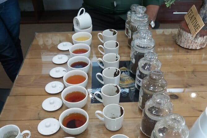 Colombo Private City Tour by Tuk Tuk - Good To Know