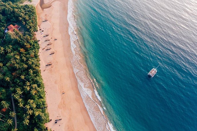 Colombo Private Whale-Watching Cruise - Cruise Details