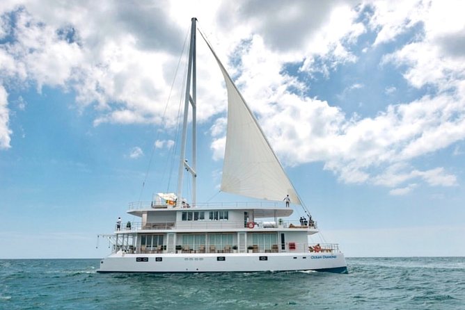 Colombo Private Whale-Watching Cruise - Common Questions