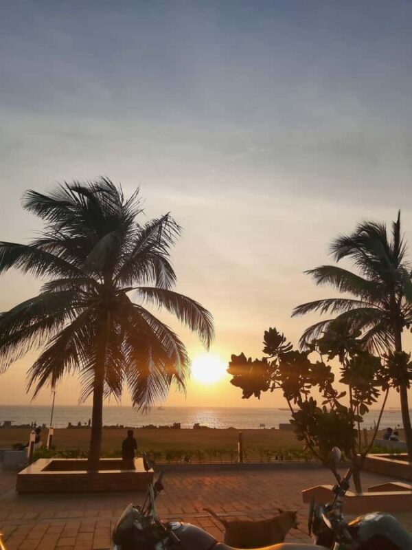 Colombo: Romantic Half-Day Tuk-Tuk Tour with Guide - What Travelers Say