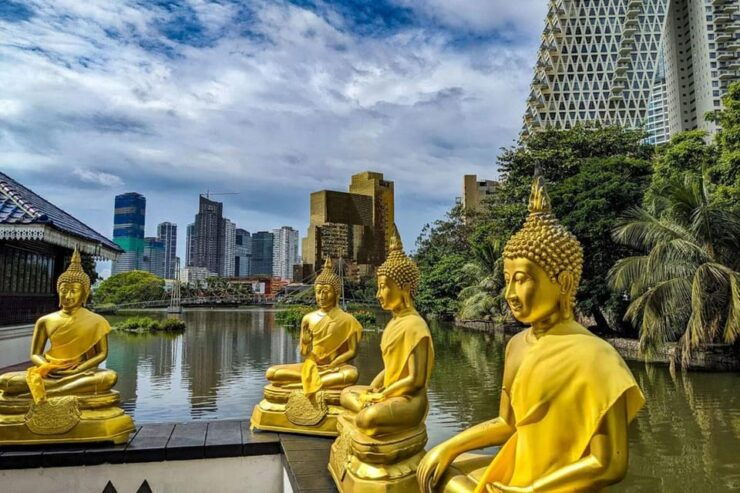 Colombo Shore Excursion - Experience Highlights