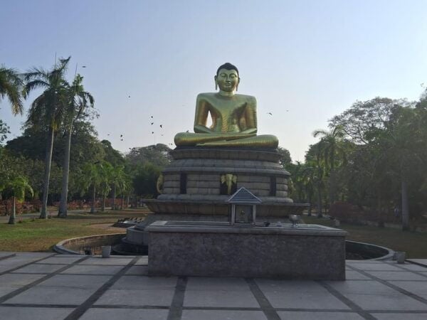 Colombo: Sightseeing Tuk Tuk City Tour Morning OR Evening - Pricing Information