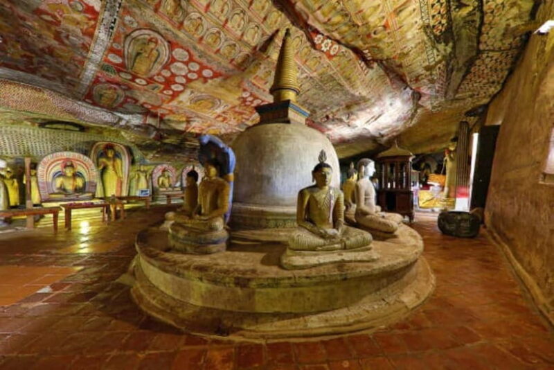 Colombo: Sigiriya, Dambulla Caves, & Wildlife Day Tour - Good To Know