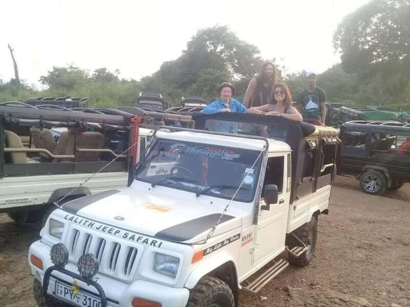 Colombo: Sigiriya, Dambulla Caves, & Wildlife Day Tour - Who Should Book This Tour?