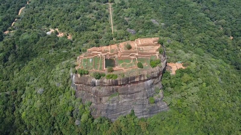Colombo Sigiriya & Dambulla Day Tour with Safari - Key points before you book