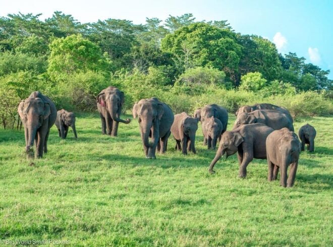 Colombo: Sigiriya, Dambulla & Elephant Safari Day Tour - Dambulla Cave Temple Visit