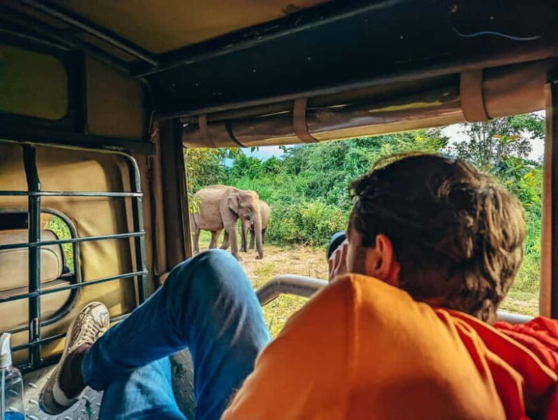 Colombo: Sigiriya Rock, Dambulla & Jeep Safari All Inclusive - Good To Know