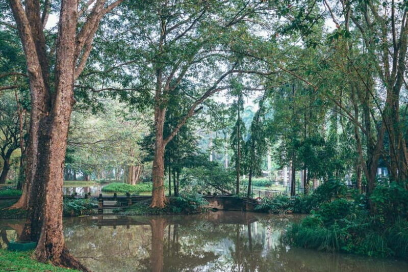 Colombo: Sigiriya Rock, Dambulla & Jeep Safari All Inclusive - Who Would Love This Tour?