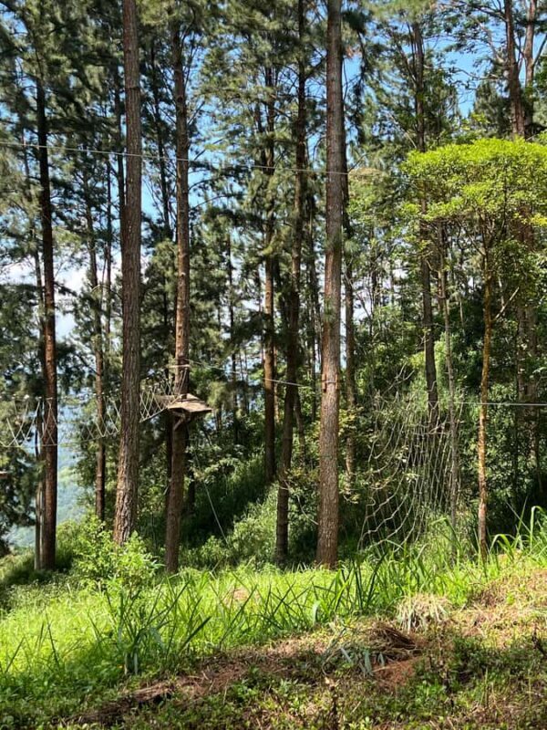 Colombo to Ambuluwawa Tower Private Day Trip 12 Hours - Transport and Price