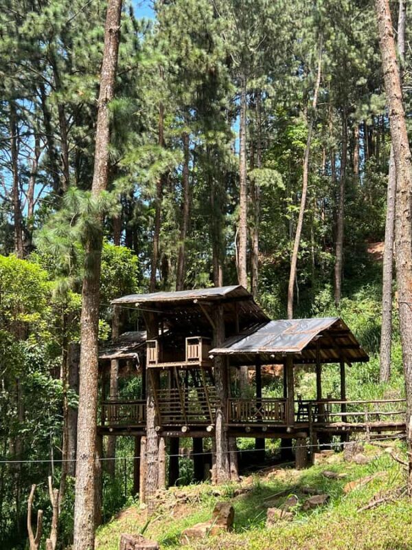 Colombo to Ambuluwawa Tower Private Day Trip 12 Hours - Who Will Love This Tour?